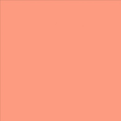 Lee Filters couleur 008 Dark Salmon