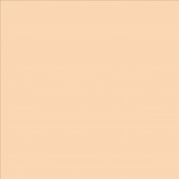 Lee Filters couleur 009 Pale Amber Gold