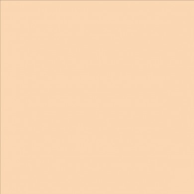 Lee Filters couleur 009 Pale Amber Gold