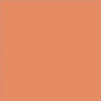 Lee Filters couleur 007 Surprise Peach