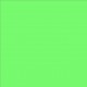 Lee Filters couleur 122 Fern Green