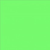 Lee Filters couleur 122 Fern Green