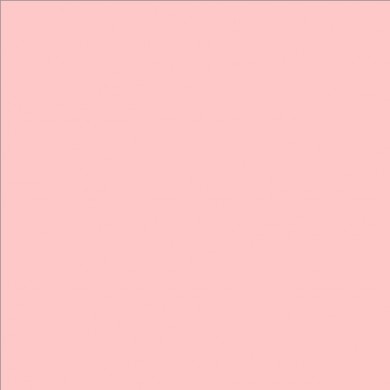 Lee Filters couleur 153 Pale Salmon