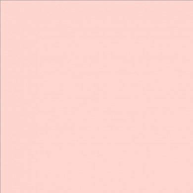 Lee Filters couleur 154 Pale Rose