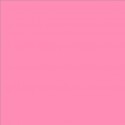 Lee Filters feuille couleur 192 - Flesh Pink