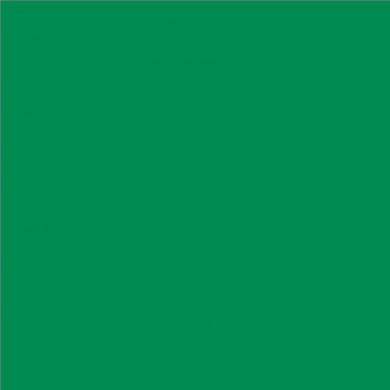 Lee Filters couleur 327 Forest Green