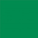 Lee Filters feuille couleur 327 - Forest Green