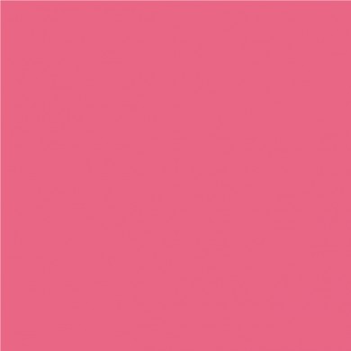 Lee Filters couleur 748 Seedy Pink