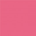 Lee Filters rouleau couleur 748 - Seedy Pink